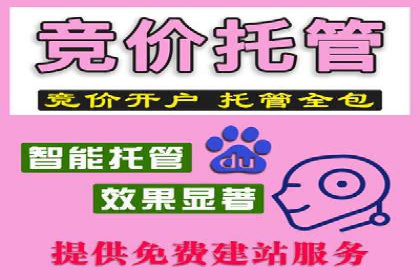 百度推广费用与广告效果评估的实战案例